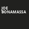 Joe Bonamassa, Weidner Center For The Performing Arts, Green Bay